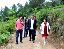 太阳城官网(中国)集团有限公司